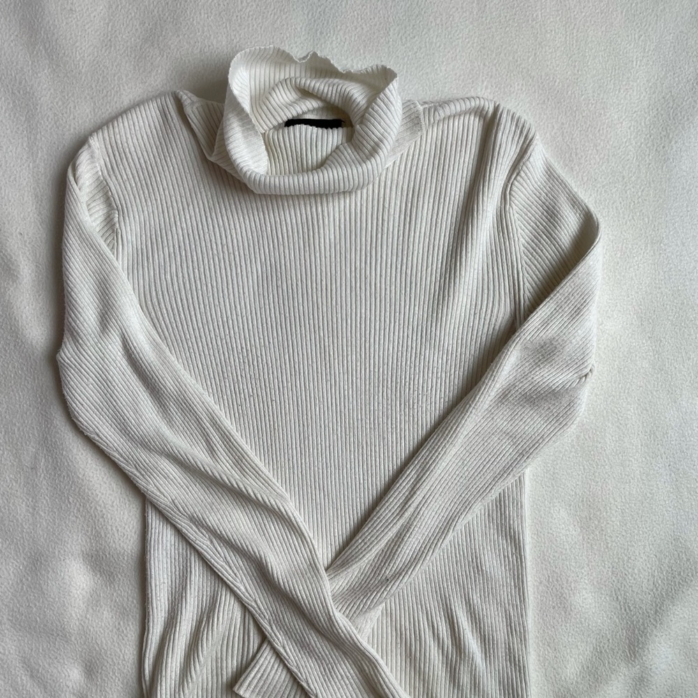 Express Turtle Neck